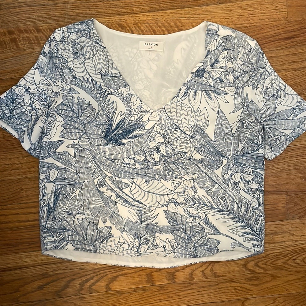 Babaton Blouse